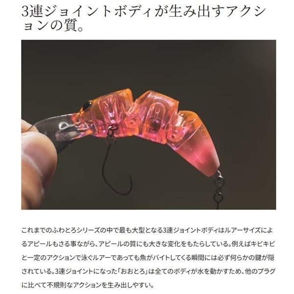 CARDIFF  おおとろ 45F